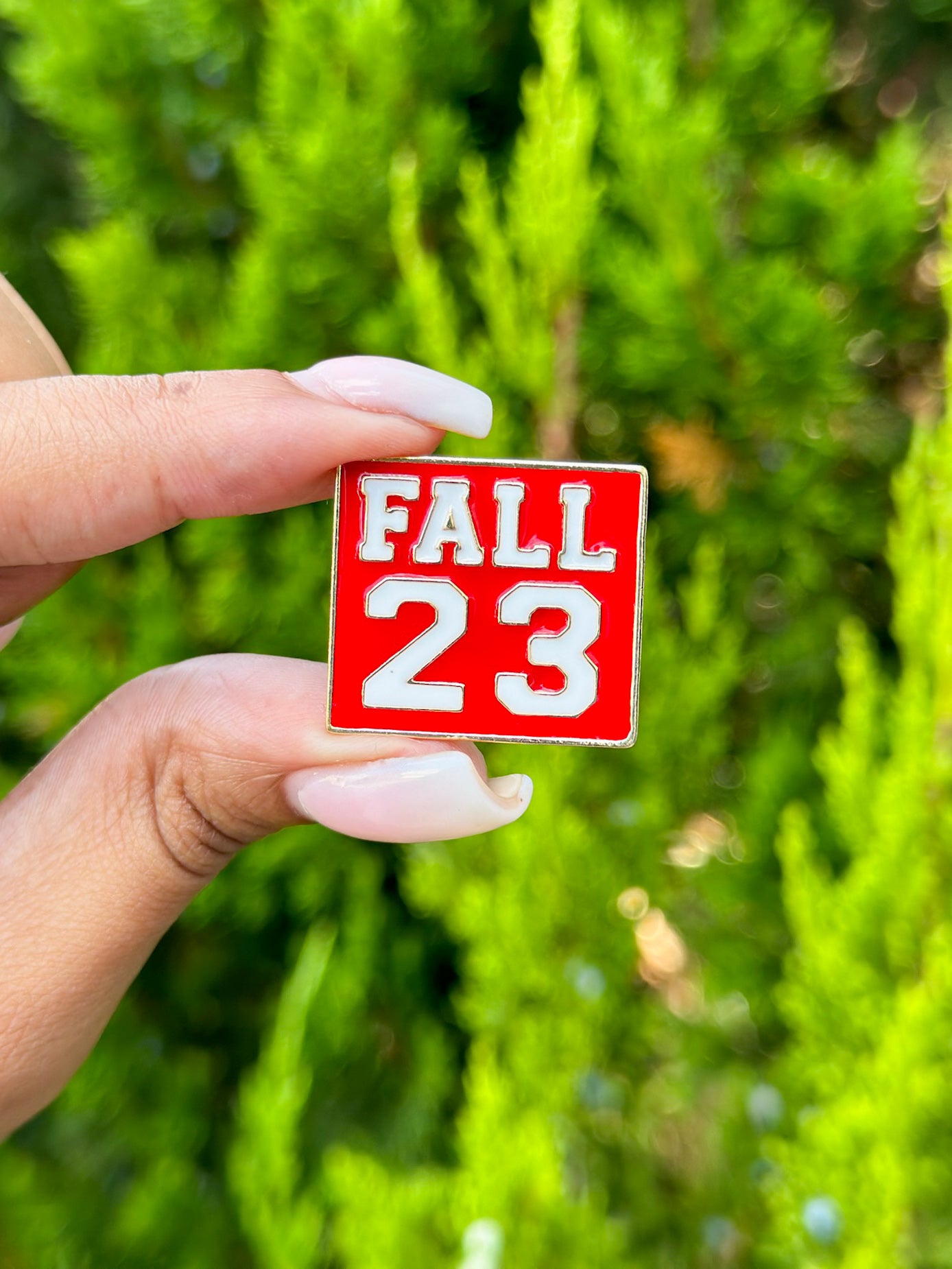 DST Fall 23 Lapel Pin