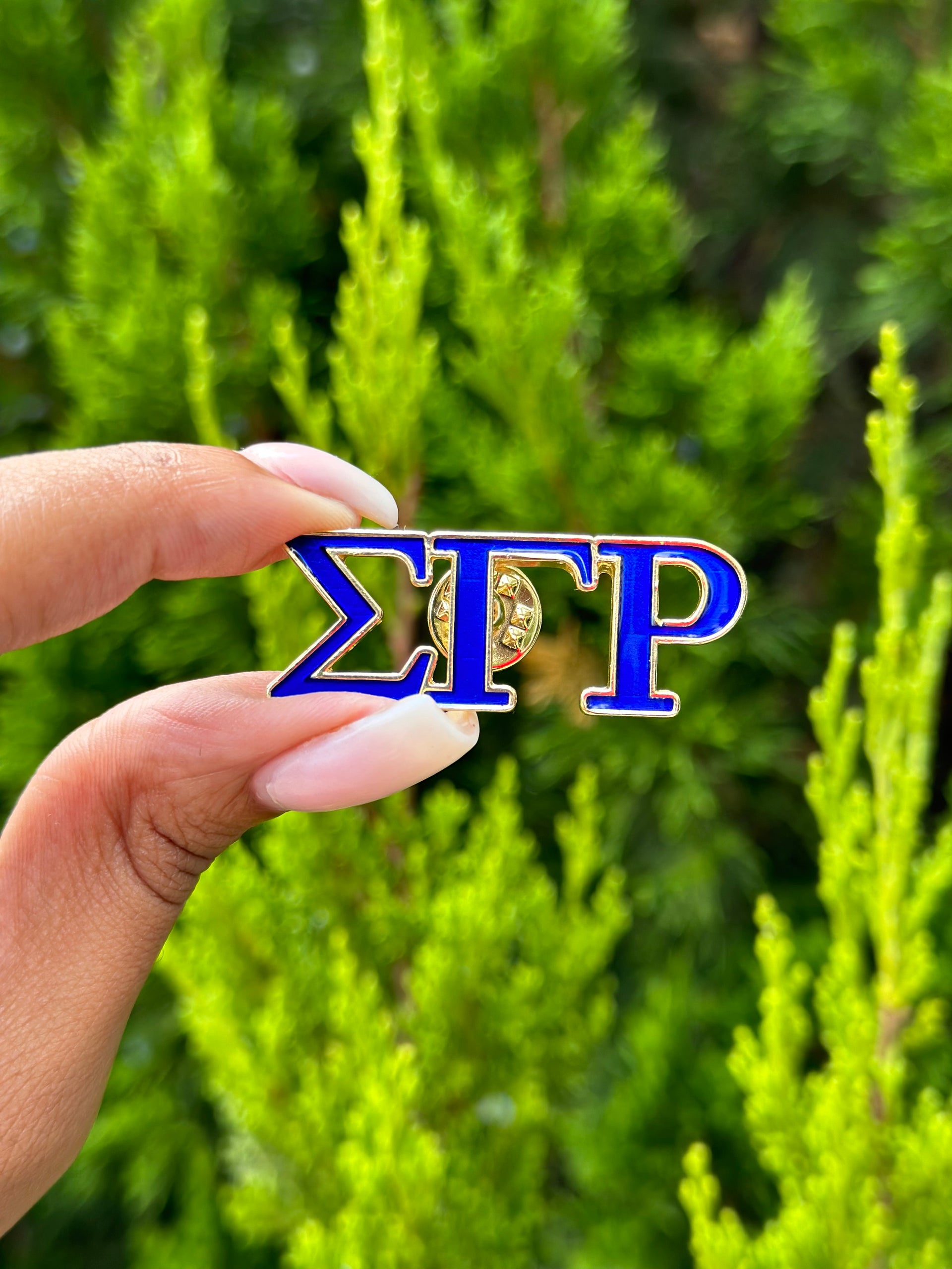 SGRHO Blue & Gold Lapel Pin