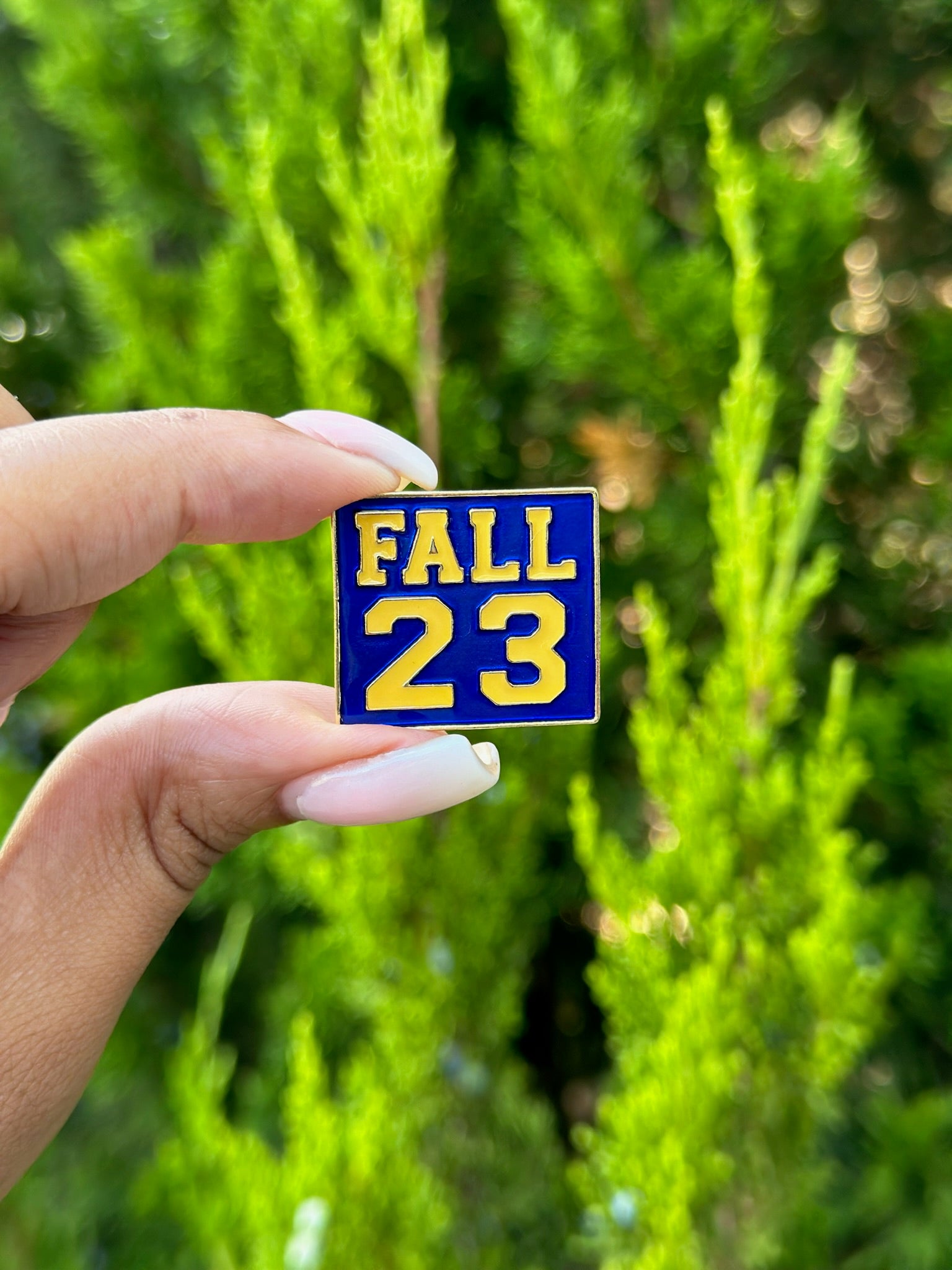 SGRHO Fall 23 Lapel Pin