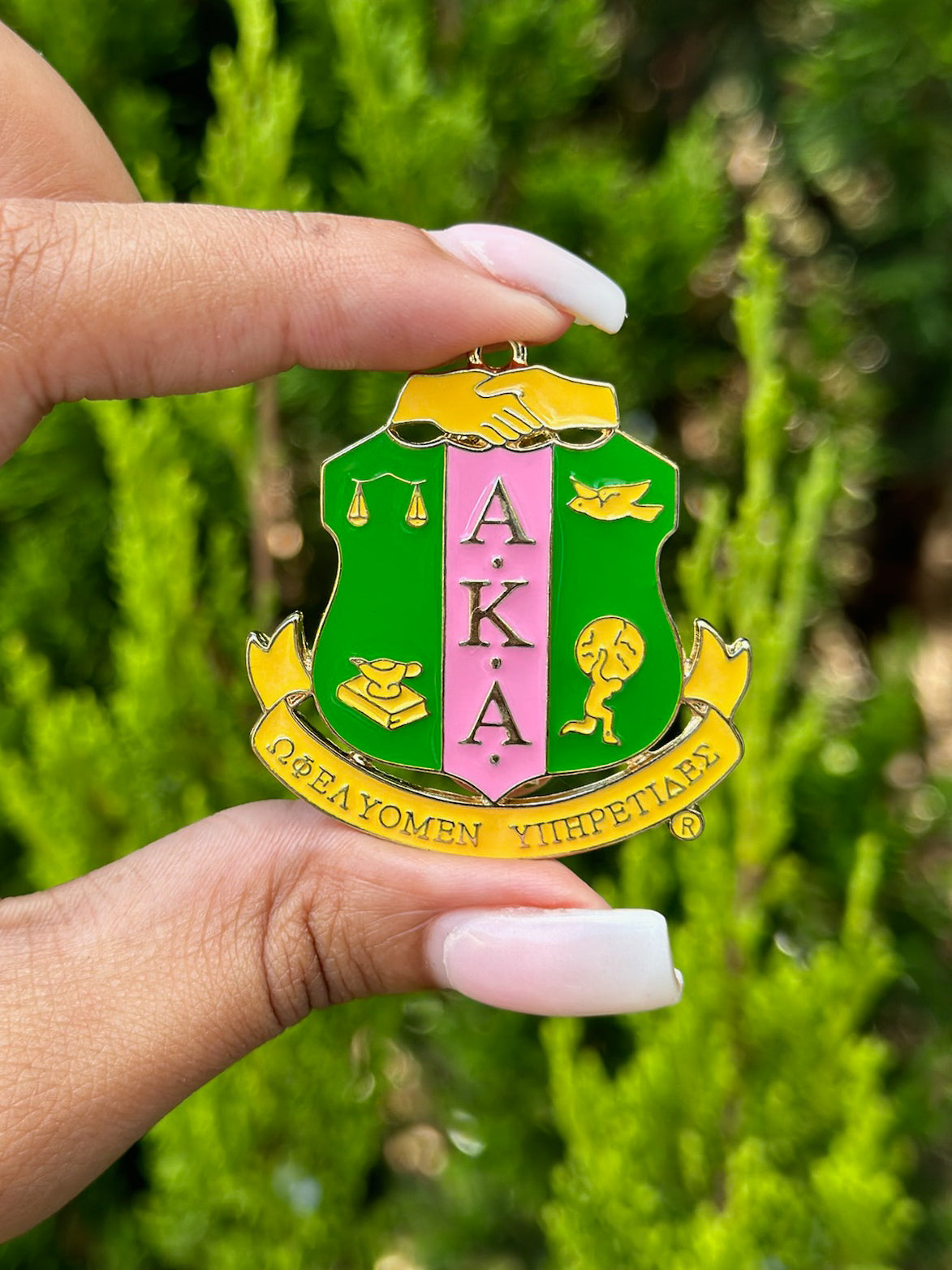 AKA Emblem Sorority Lapel Pin