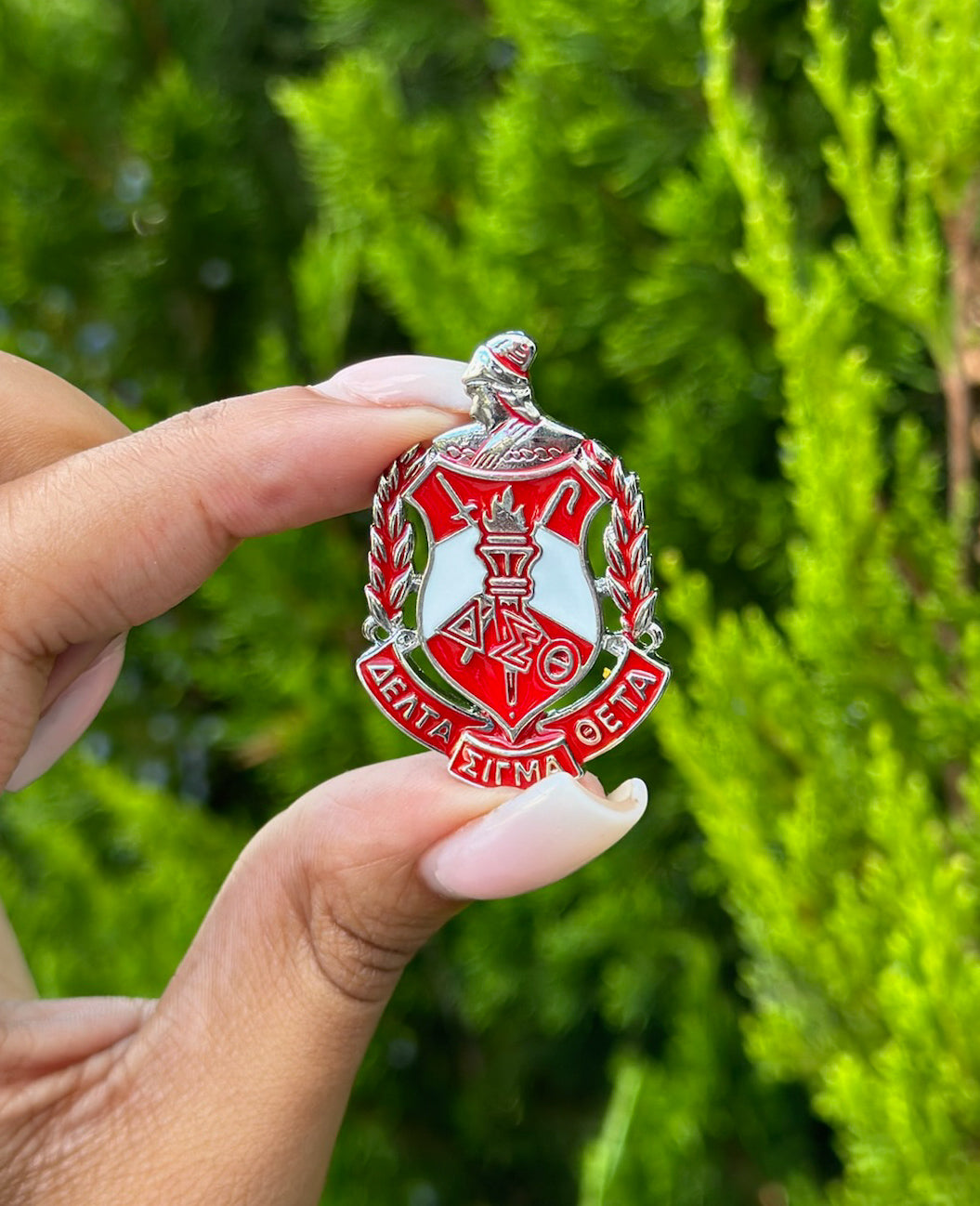 DST Emblem Lapel Pin