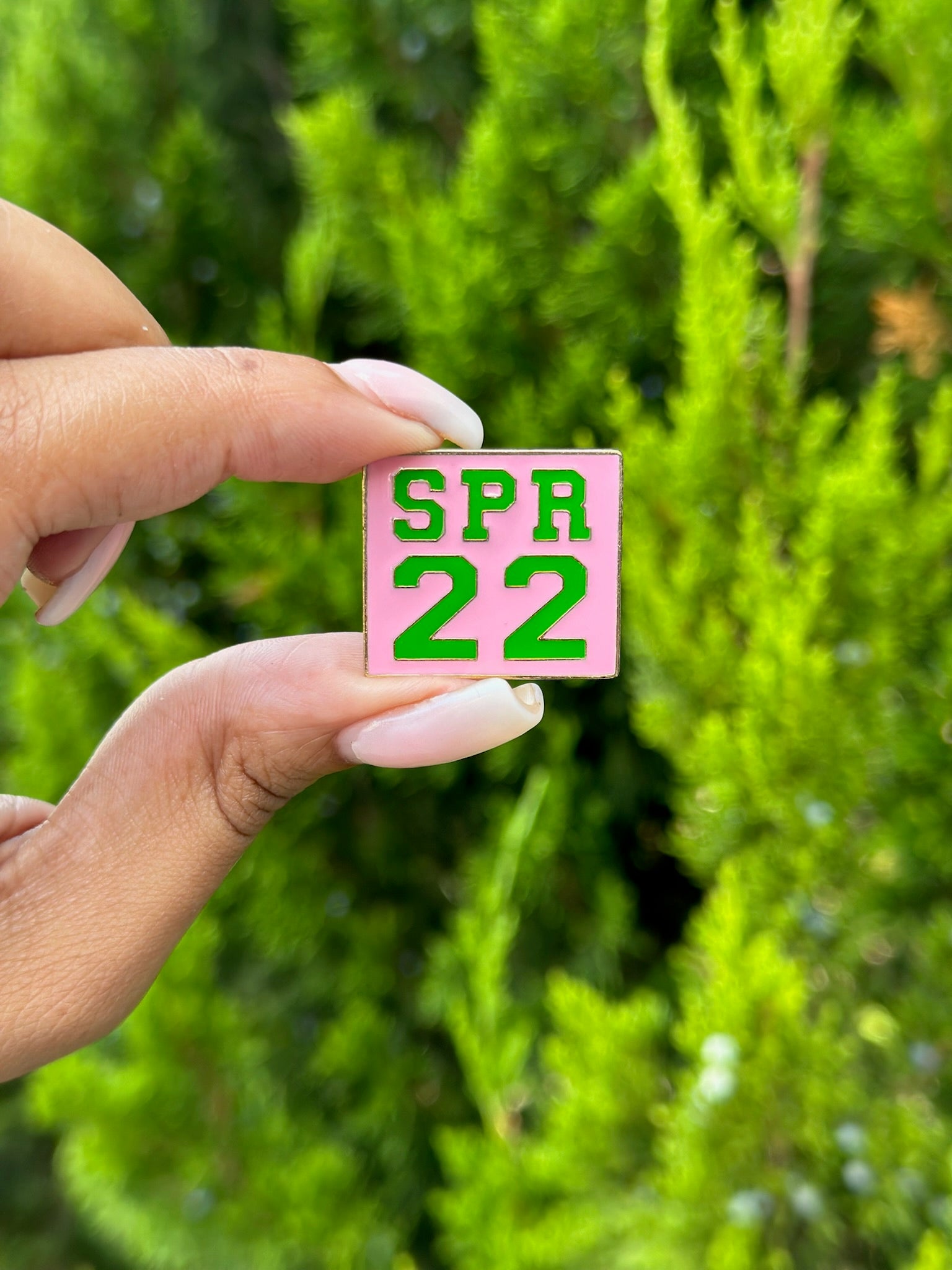 AKA Spring 2022 Lapel Pin