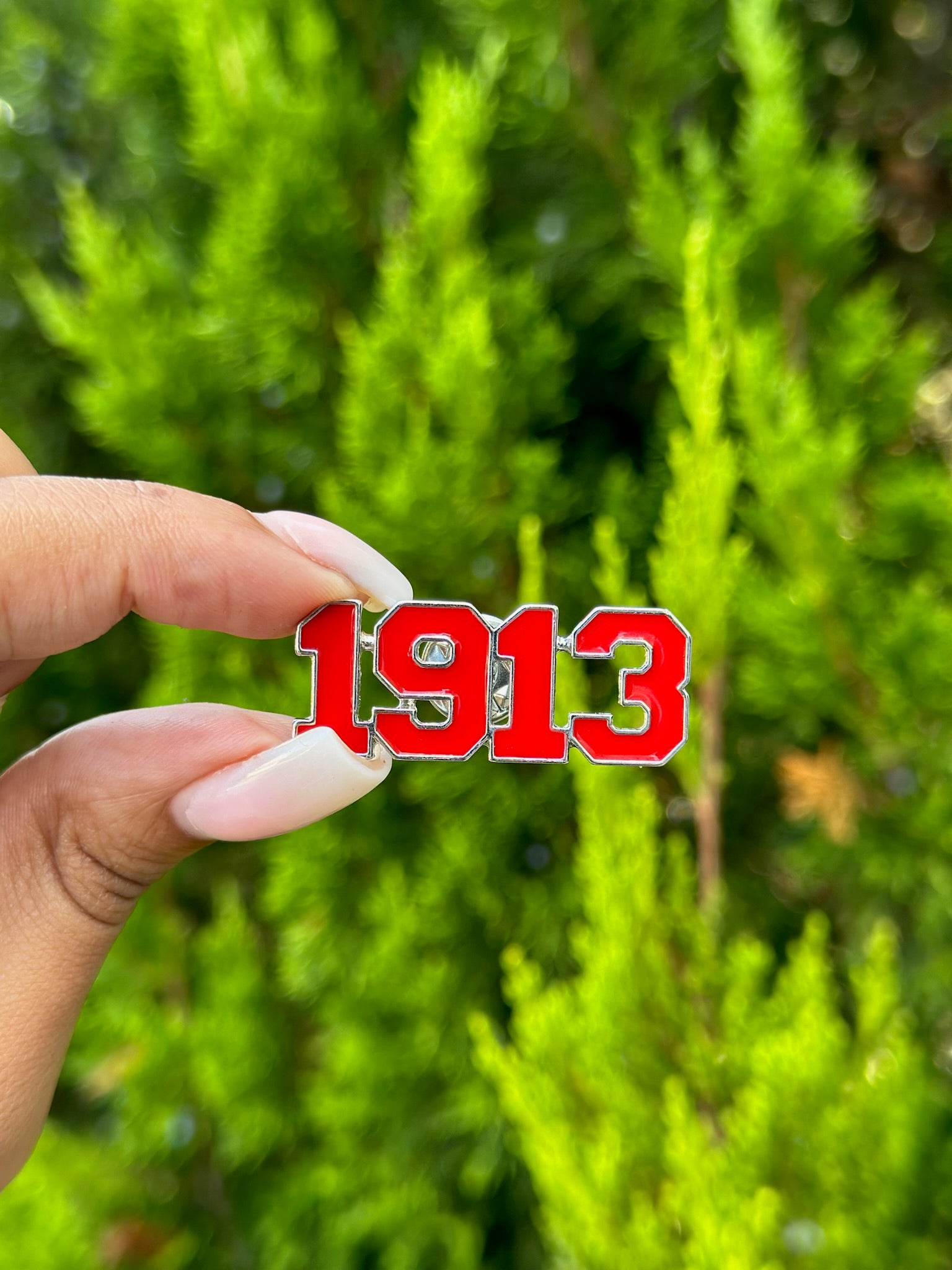 DST Red 1913 Lapel Pin