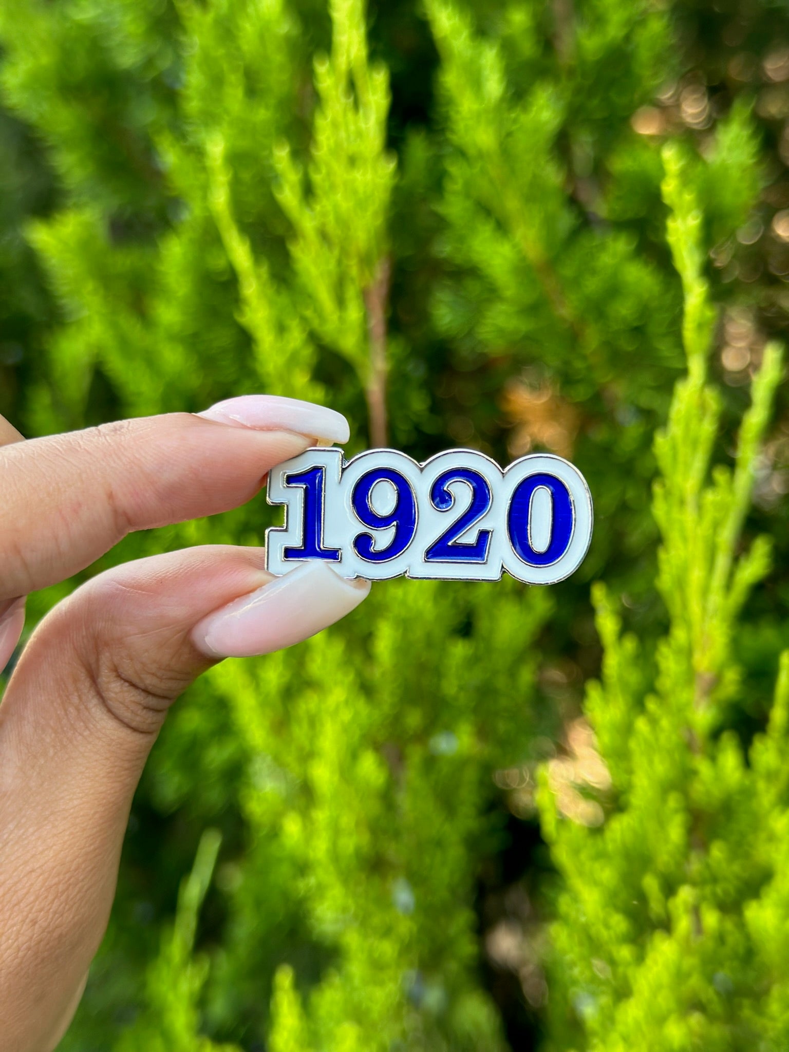 ZPB 1920 Lapel Pin