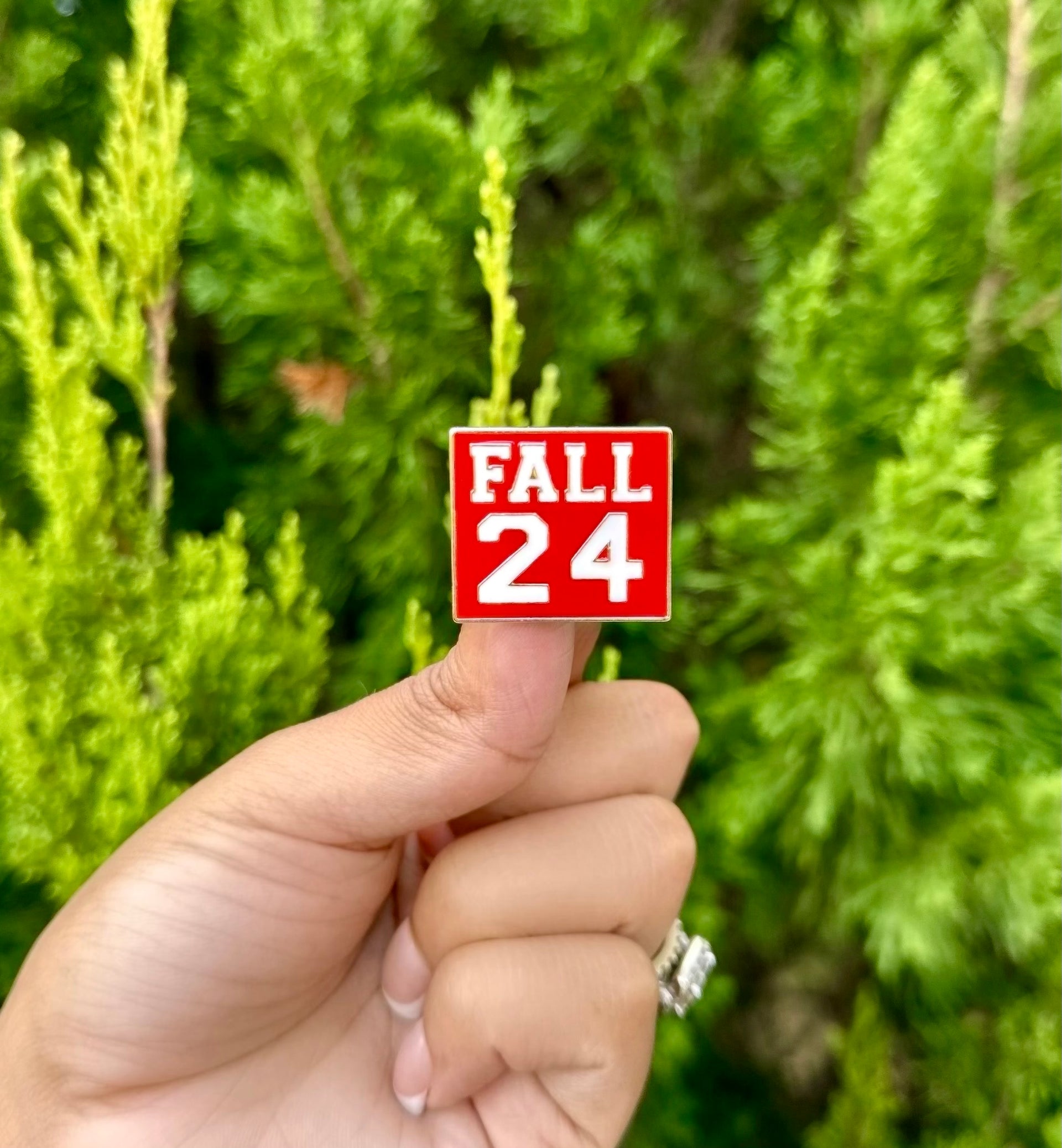 DST Fall 24 Lapel Pin