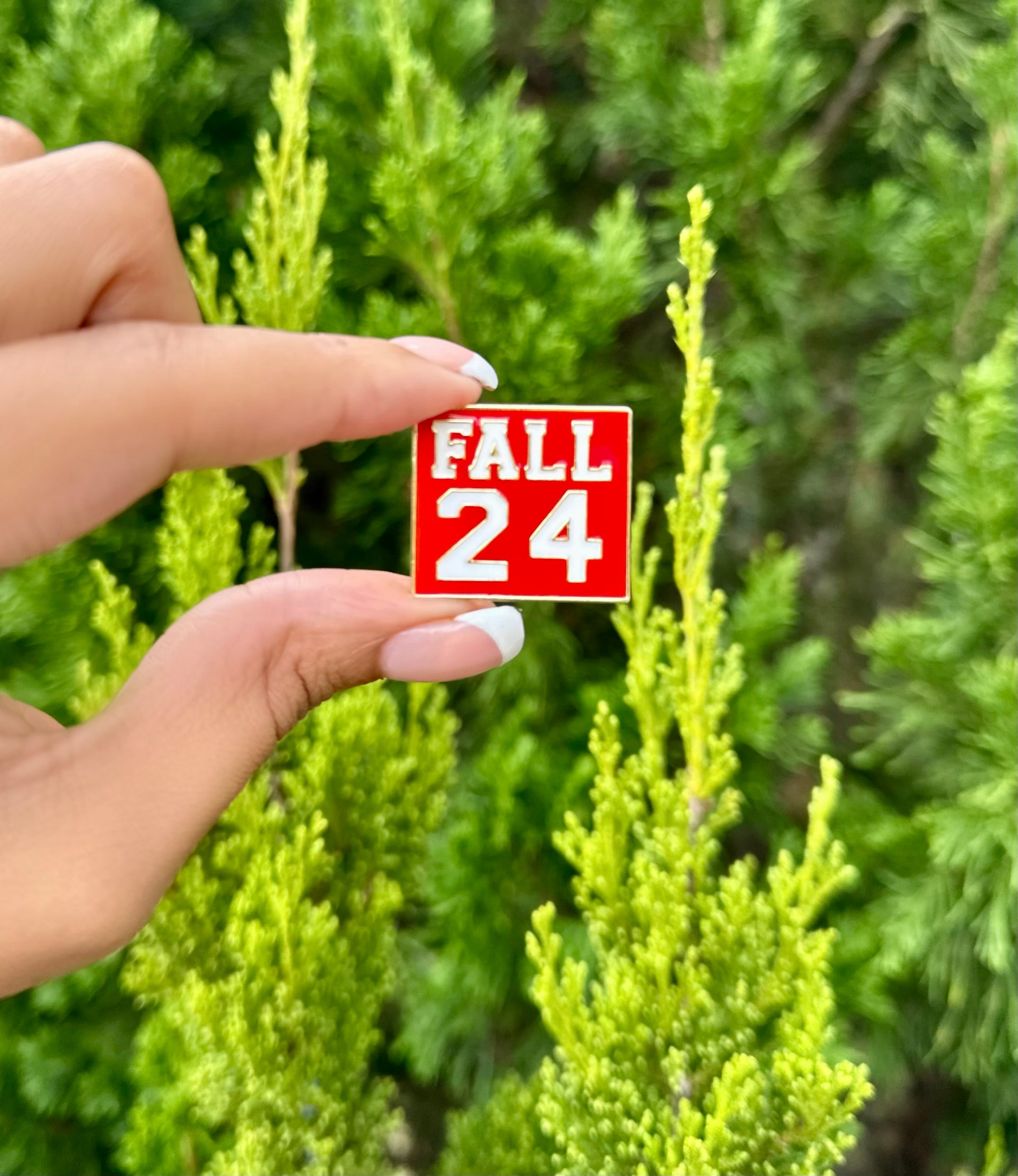 DST Fall 24 Lapel Pin