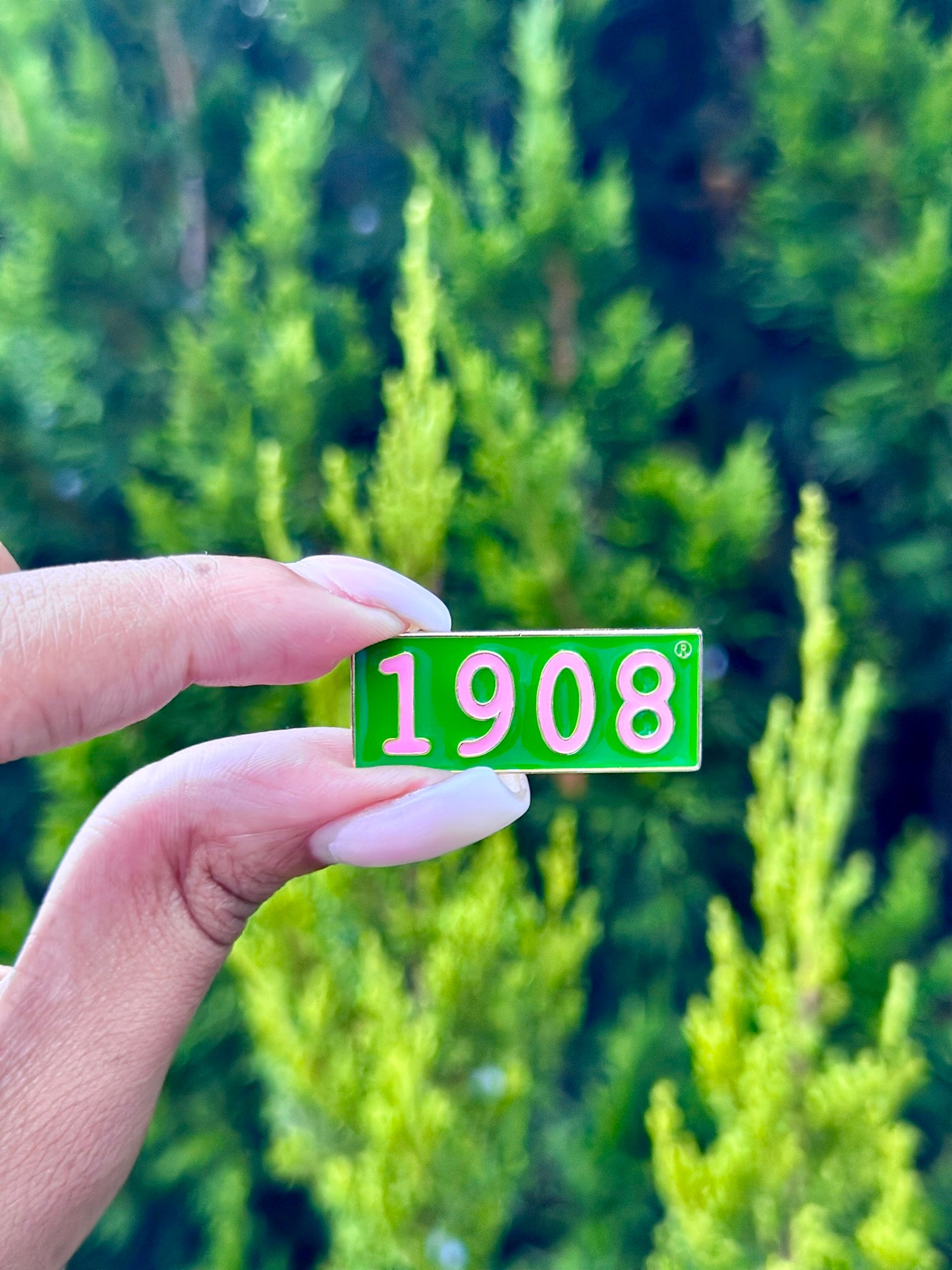 AKA Green 1908 Lapel Pin