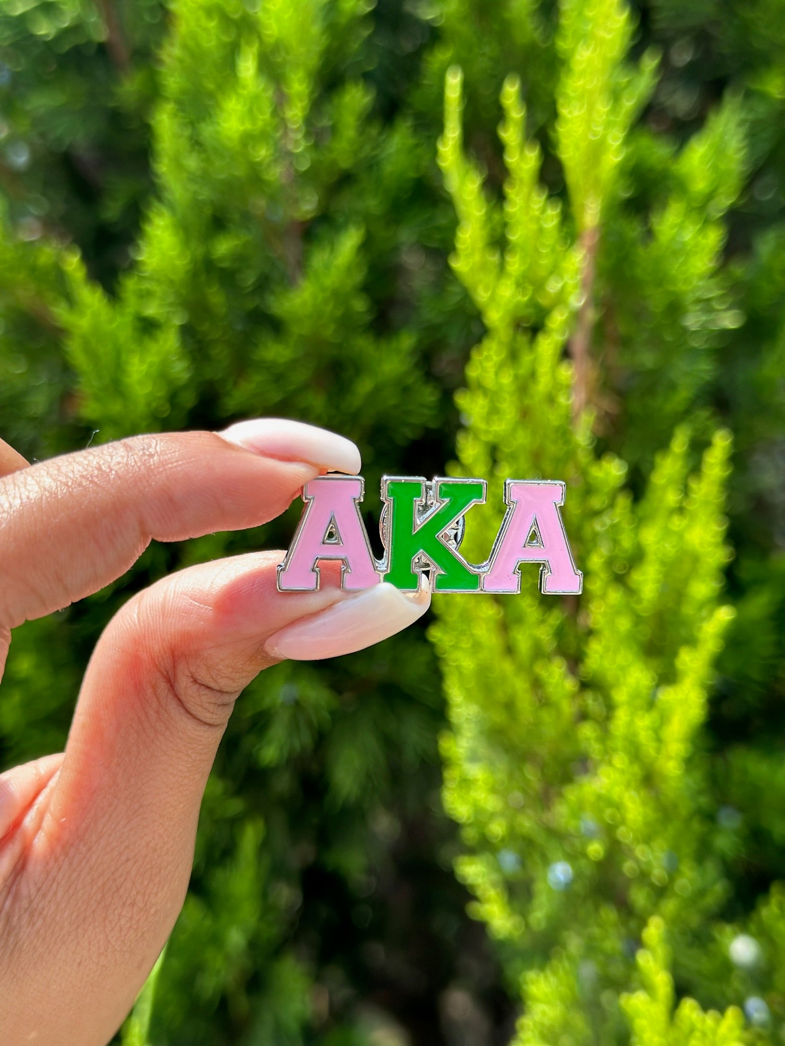 AKA Pink & Green Lapel Pin