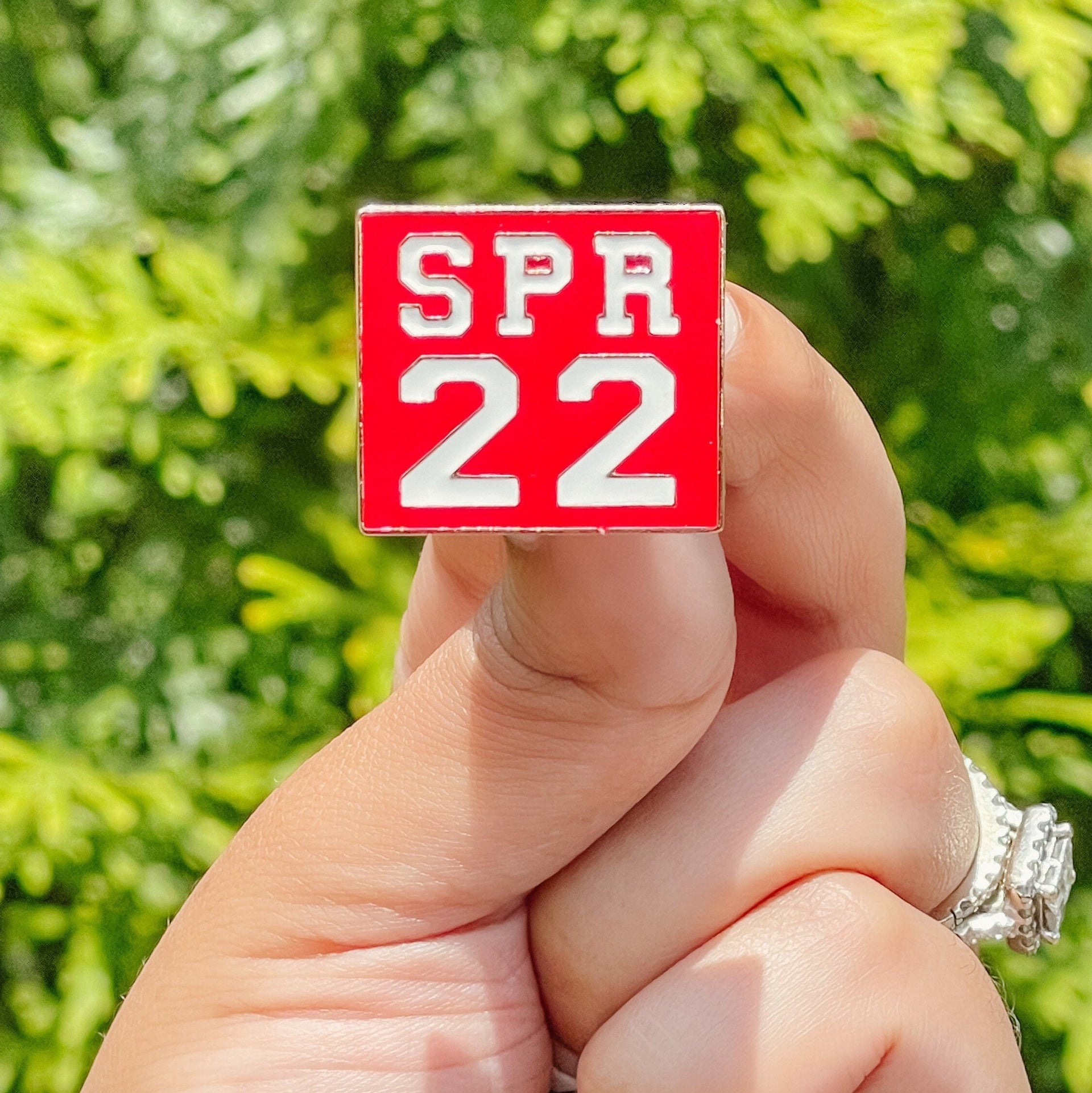 DST Spring 22 Lapel Pin